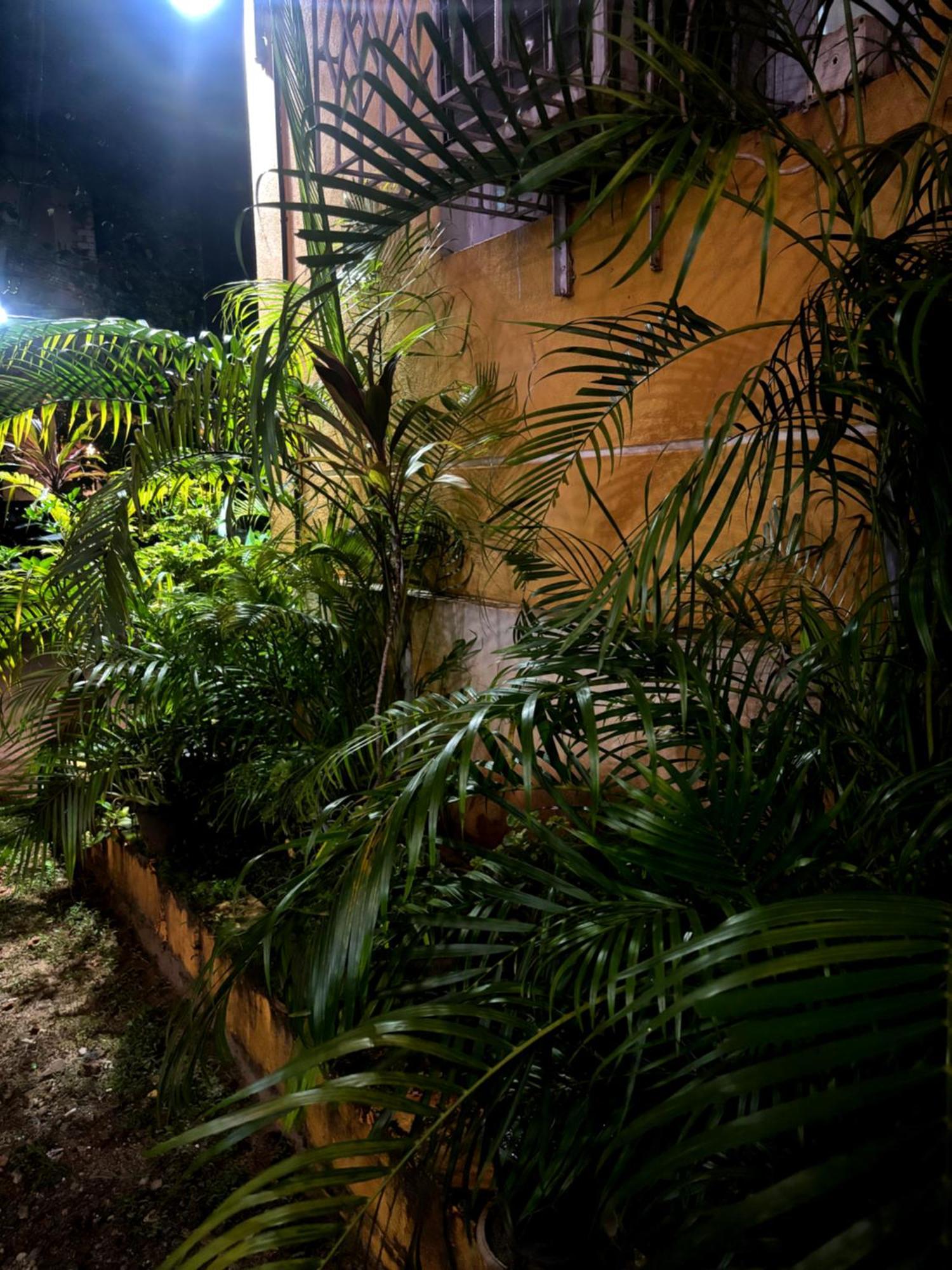 Hotel Harmony By Heaven Calangute Buitenkant foto